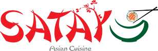 logo SATAY imp. 2